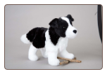 Meadow Border Collie 8" by Douglas