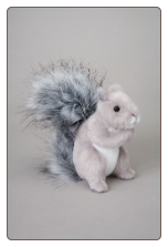 Shasta Gray Squirrel 5.5" by Douglas