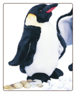 Waddles Small Emperor Penguin 10" by Douglas