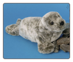Speckles Monk Seal 12" by Douglas