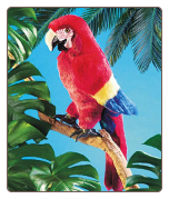 Scarlet Macaw Hand Puppet 25" by Folkmanis