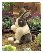 Baby Dutch Rabbit Hand Puppet 10" by Folkmanis