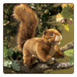 Red Squirrel Hand Puppet 11" by Folkmanis